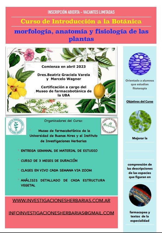 Imagen de informacion sobre curso de introducción a la botánica